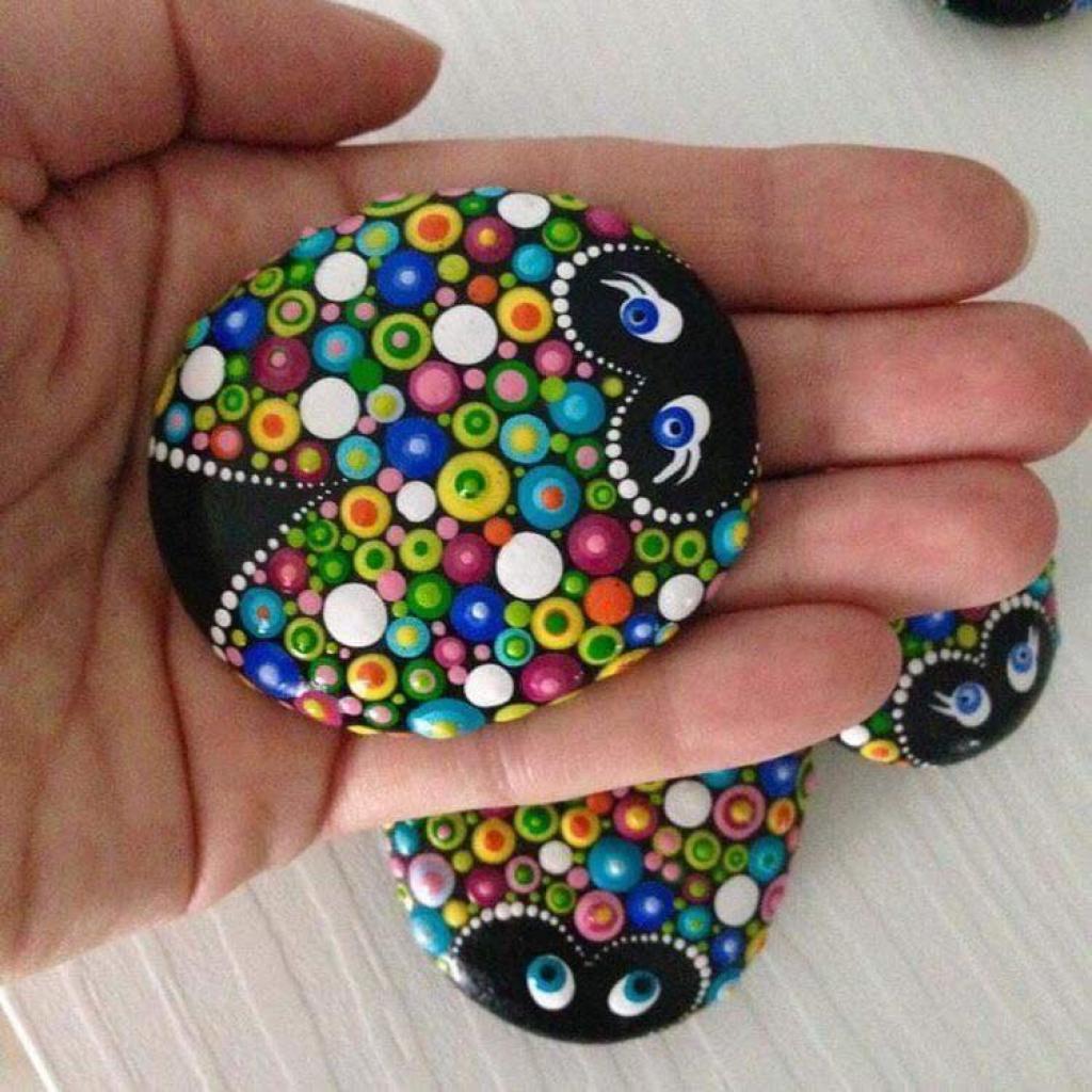 Des coccinelles colorées