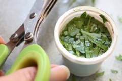 capsule-nespresso-recyclee-pour-conserver-fines-herbes-1