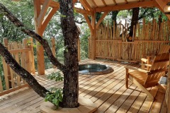 Les-arbres-pour-le-cote-apaisant