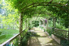 Les-plantes-pour-orner-votre-pergola