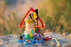 Un-sanctuaire-pour-papillon