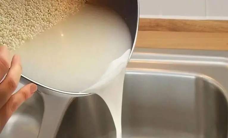 Ne Jetez pas l’Eau de Cuisson de Riz, Voici Ce Que vous Pouvez Faire Avec