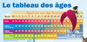 Age chien et chat
