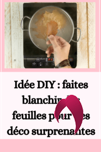feuilles pour des déco