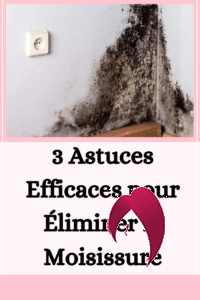 3 Astuces Efficaces pour Éliminer la Moisissure