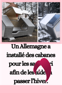 Capsules de sommeil