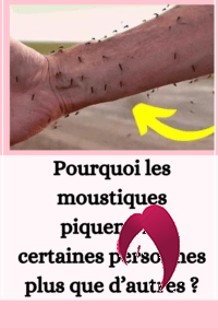 Pourquoi les moustiques piquent-ils certaines personnes plus que d’autres ?
