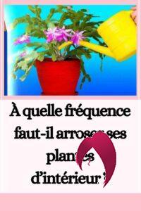 arroser ses plantes
