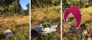 papier journal dans son jardin