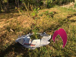 papier journal dans son jardin