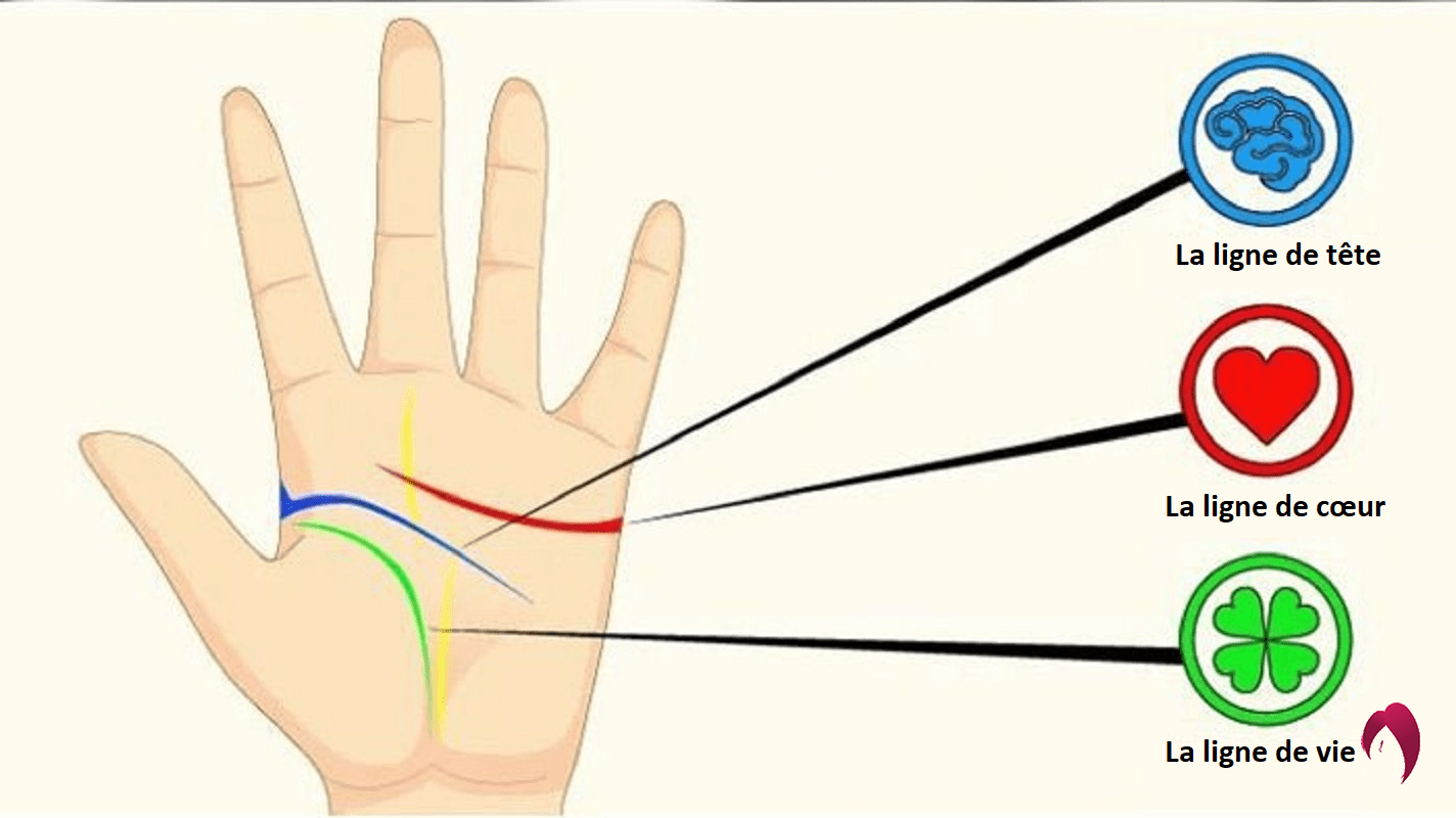 Voici comment lire les lignes de vie de sa propre main