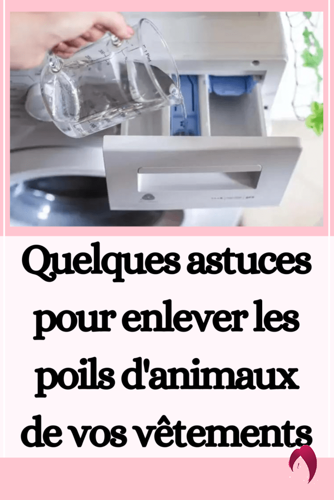 Quelques astuces pour enlever les poils d'animaux de vos vêtements