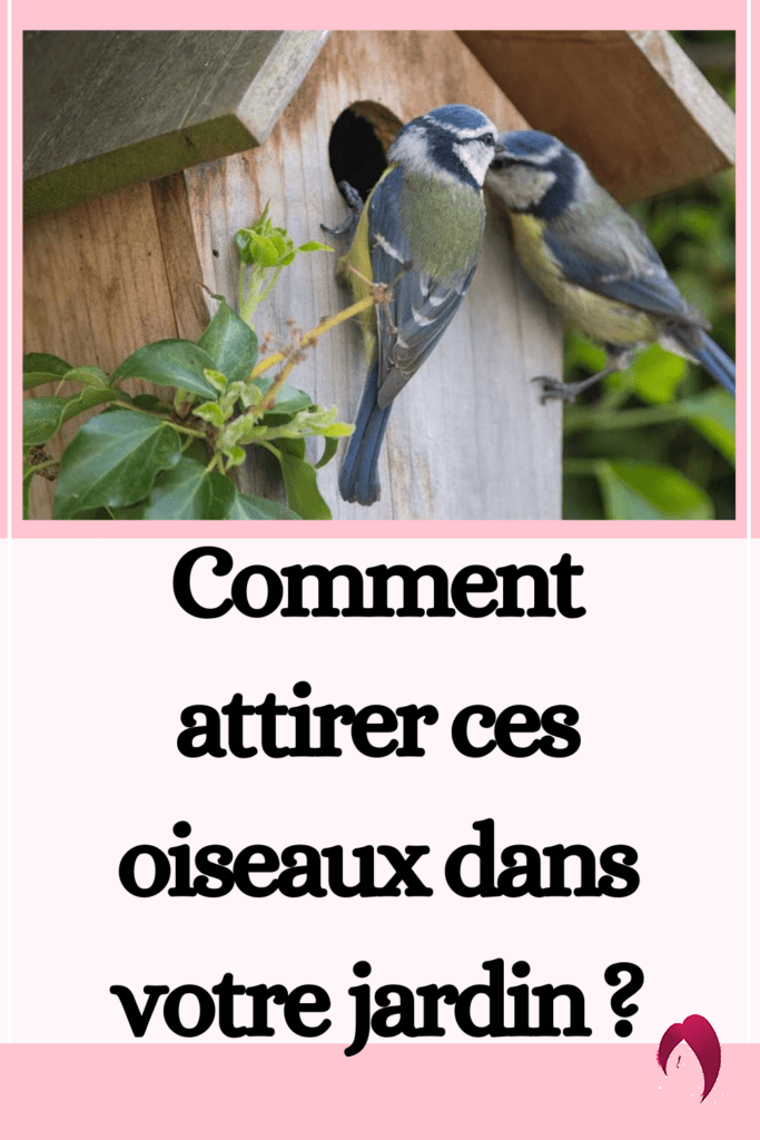 Comment attirer ces oiseaux dans votre jardin ? 