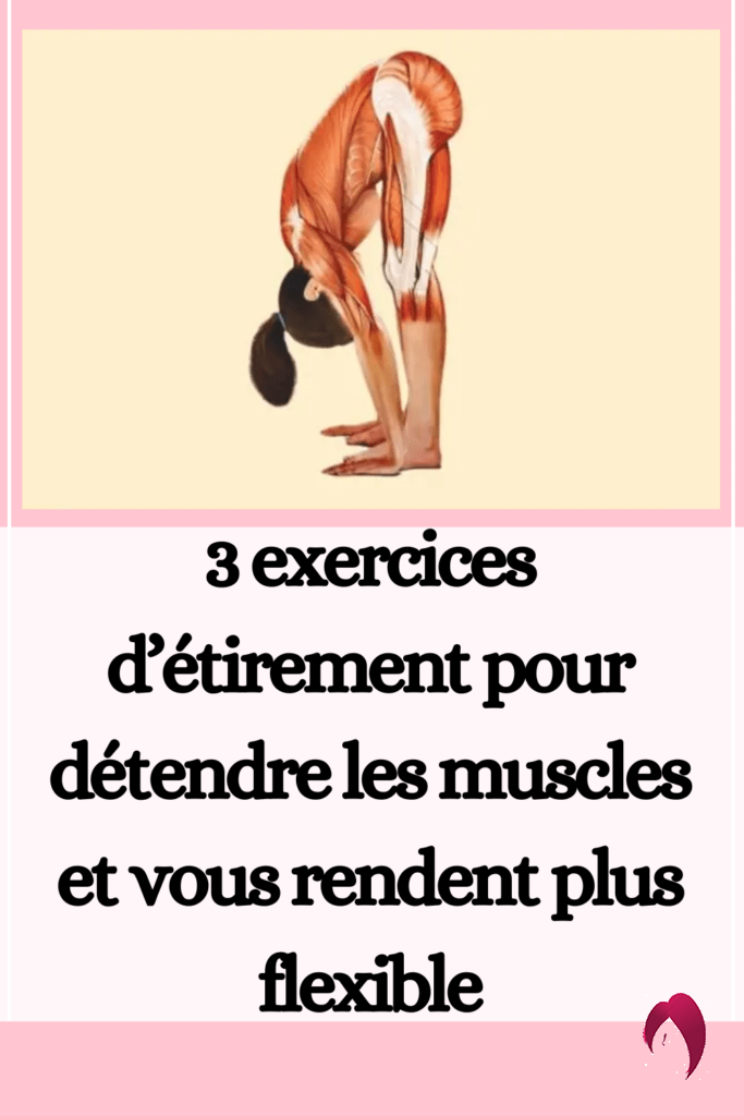 exercices d’étirement pour détendre les muscles 
