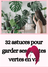 32 astuces pour garder ses plantes vertes en vie