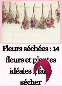 Fleurs séchées