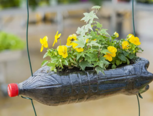 Le jardin vertical