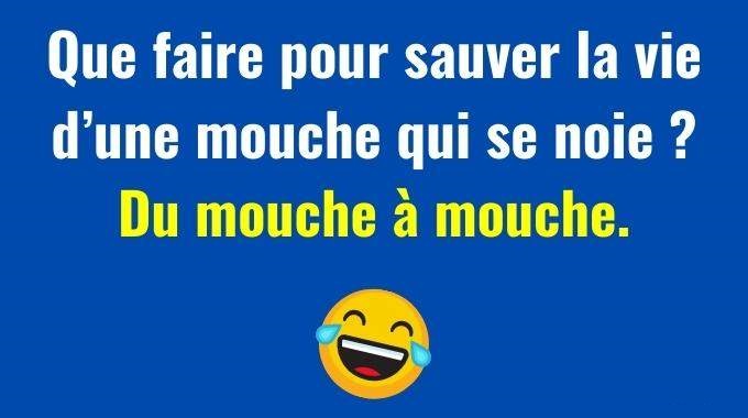 22 Blagues Courtes Et Dr les Qui Vous Feront Pleurer De Rire 22 Blagues Courtes Et Dr les Qui Vous Feront Pleurer De Rire