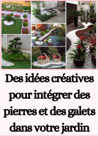 Des idées créatives pour intégrer des pierres et des galets dans votre jardin
