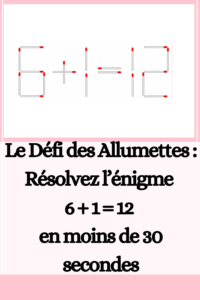 Le Défi des Allumettes