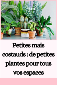 de petites plantes pour tous vos espaces