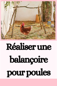 Réaliser une balançoire pour poules