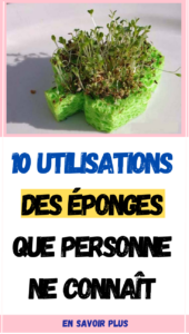 10 Utilisations des Éponges Que Personne Ne Connaît