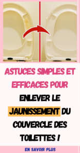 Jaunissement du Couvercle des Toilettes