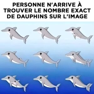Combien de dauphins pouvez-vous repérer sur l’image ?