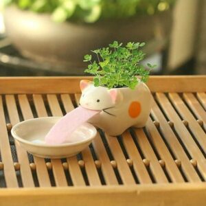 pots à fleurs hydratent vos plantes