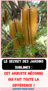 Le secret des jardins sublimes