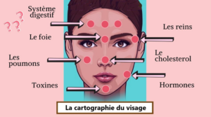 cartographie du visage