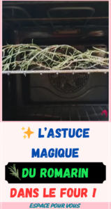 Pourquoi Mettre une Branche de Romarin dans le Four ?