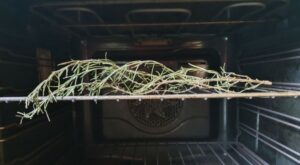 Pourquoi Mettre une Branche de Romarin dans le Four ?