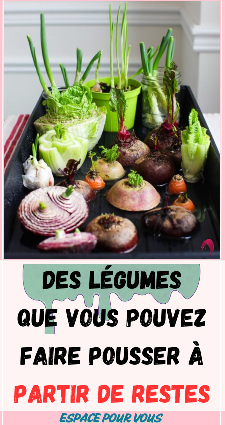 Des légumes que vous pouvez faire pousser à partir de restes 