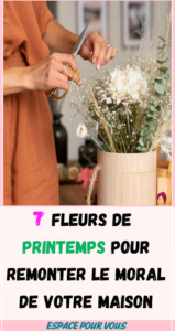 7 fleurs de printemps