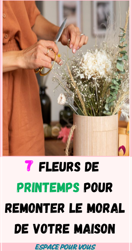 7 fleurs de printemps 