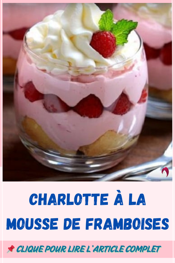 Charlotte à la mousse de framboises