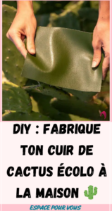 cuir de cactus