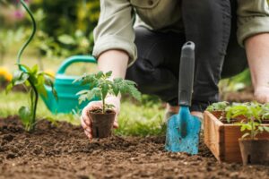 sublimer votre jardin en avril*