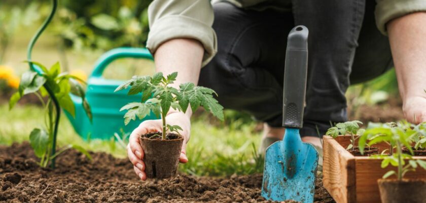 sublimer votre jardin en avril*