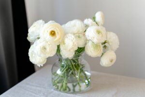 7 fleurs de printemps