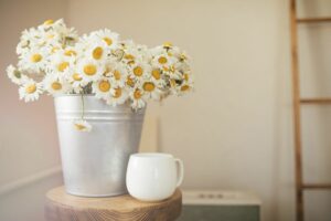 7 fleurs de printemps
