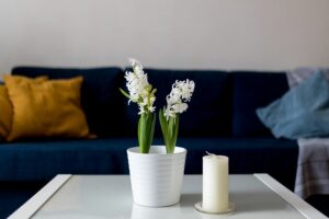 7 fleurs de printemps