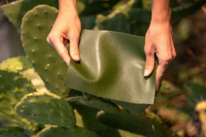 cuir de cactus