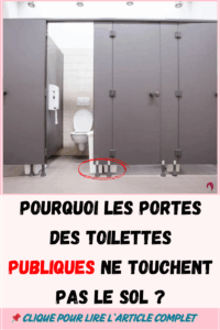 Pourquoi les portes des toilettes publiques ne touchent pas le solTu t'es déjà posé la question ? Ce n’est pas un défaut de fabrication, mais un choix bien réfléchi ! 🚻 Sécurité, hygiène, ventilation… Découvre les vraies raisons derrière ce détail que tout le monde remarque mais que peu comprennent 👀 #Insolite #ToilettesPubliques #AstucesPratiques #Architecture #DesignUrbain #Hygiène #Sécurité #InfoDuJour #LeSaviezVous #CultureGénérale #Curiosité #ÉtonnantMaisVrai #DétailQuiChangeTout