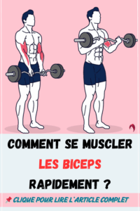 se muscler les biceps rapidement