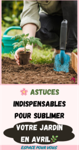 sublimer votre jardin en avril*