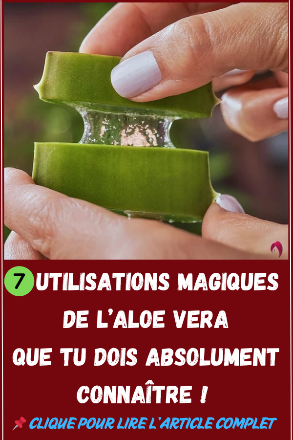 7 Utilisations Magiques de l’Aloe Vera