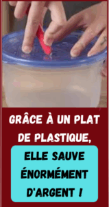 Grâce à un plat de plastique, elle sauve énormément d'argent !